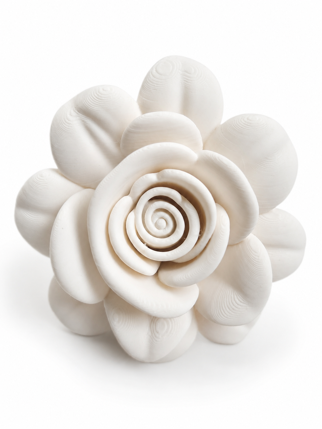 flowertop